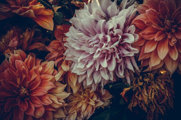 Créer une cuisine éco-responsable avec une poubelle à compost élégante et facile à vivre